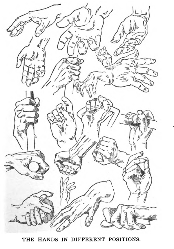How to Draw Hands in Different Positions and Poses