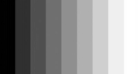 Painting Color Class: Tones or Values