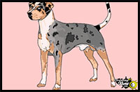 how to draw a catahoula leopard dog