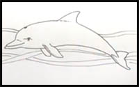 how to draw a dolphin real easy