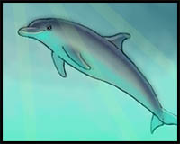 how to draw a bottlenose dolphin