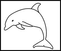 how to draw a dolphin