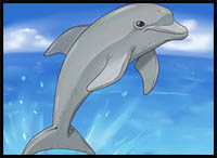 how to draw a dolphin