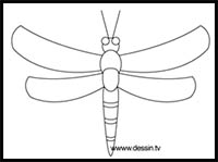Drawing Dragonfly