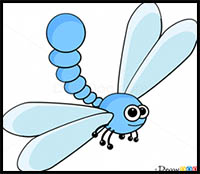 How to Draw Dragonfly, Insects