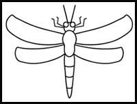 How to Draw a Dragonfly