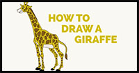 how to draw a giraffe in cartoon style