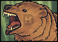 how to draw a grizzly bear face