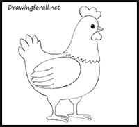 how to draw a chicken for kids