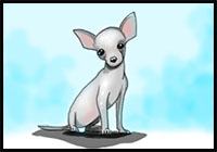 how to draw a chihuahua