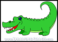 How to Draw a Cartoon Alligator (the Easy Way)