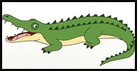 How to Draw an Alligator Step by Step