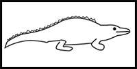 How to Draw an Alligator in 8 Easy Steps