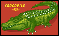 How to Draw Crocodiles : Drawing Crocodile Lessons