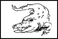 How to Draw Crocodiles