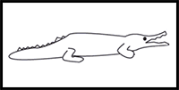 How to Draw a Crocodile in 8 Easy Steps