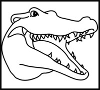 How to Draw a Crocodile Face in 10 Easy Steps