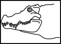 How to Draw a Crocodile Head in 6 Easy Steps