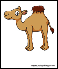 How to Draw a Camel – Step by Step Guide