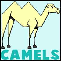 Drawing Camels with Easy Steps Instructional Lesson for Beginners
