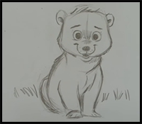 How to Draw a Cartoon Bear for Beginners
