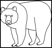 How To Draw Bears Drawing Tutorials Drawing How To Draw Bears Teddy Bears Drawing Lessons Step By Step Techniques For Cartoons Illustrations