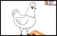 How to Draw a Hen Step by Step