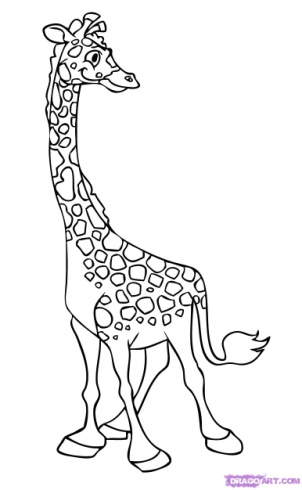 How to draw giraffes