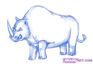 How to draw rhinos