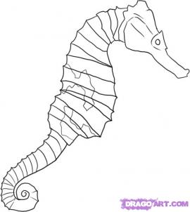 How to draw seahorse