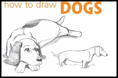 how to draw dogs with Chris Hart