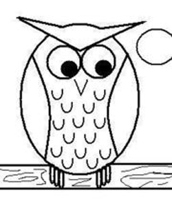 How to Draw Easy Cartoon Owls Drawing Lessons for Kids