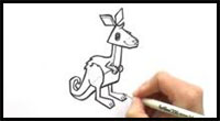 how to draw a cartoon kangaroo