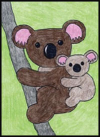 draw a koala bear