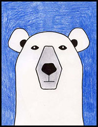 learn how to draw a polar bear