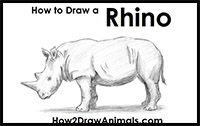 how to draw a rhinoceros