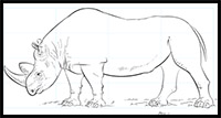 how to draw a realistic rhino