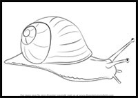 how to draw a snail