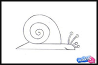 how to draw a land snail