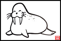 how to draw a cute walrus