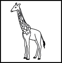 how to draw a giraffe