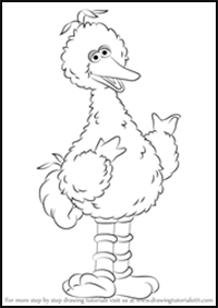 How to Draw Big Bird from Sesame Street