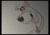 How to draw Scooby-Doo : Scooby Doo Step by Step Drawing Lessons