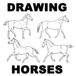 How to Draw Horses Running and Trotting