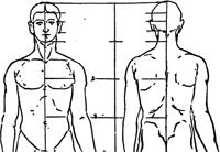 Drawing the Human Figure by Memorizing Proportions