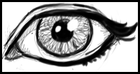 How to Draw Realistic Eyes with Easy Step by Step Drawing Lessons 