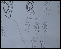 How to Draw Manga Ears for the Absolute Beginner