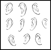 How to Draw Anime Ears, a Simple Three-Step Guide