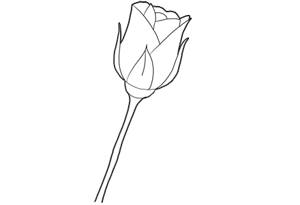 How to Draw Long Stem Roses Drawing Tutorial for Valentines Day