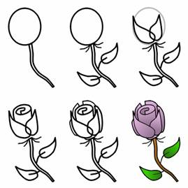 How
  to Draw Rose
